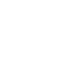 FEMA seal